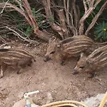 Angolo Di Paradiso