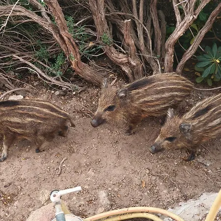 Angolo Di Paradiso