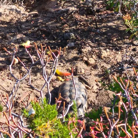 Angolo Di Paradiso *